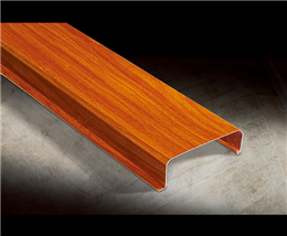 G-Shaped strip