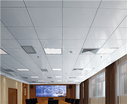 Lay-In Ceiling