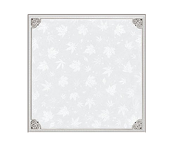 Indoor aluminum veneer ceiling and curtain wall