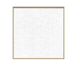 Indoor aluminum veneer ceiling and curtain wall